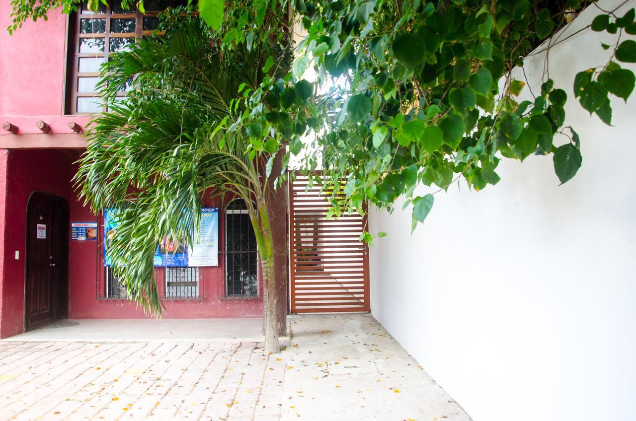 Suite Casa Tortuga Τουλούμ Εξωτερικό φωτογραφία
